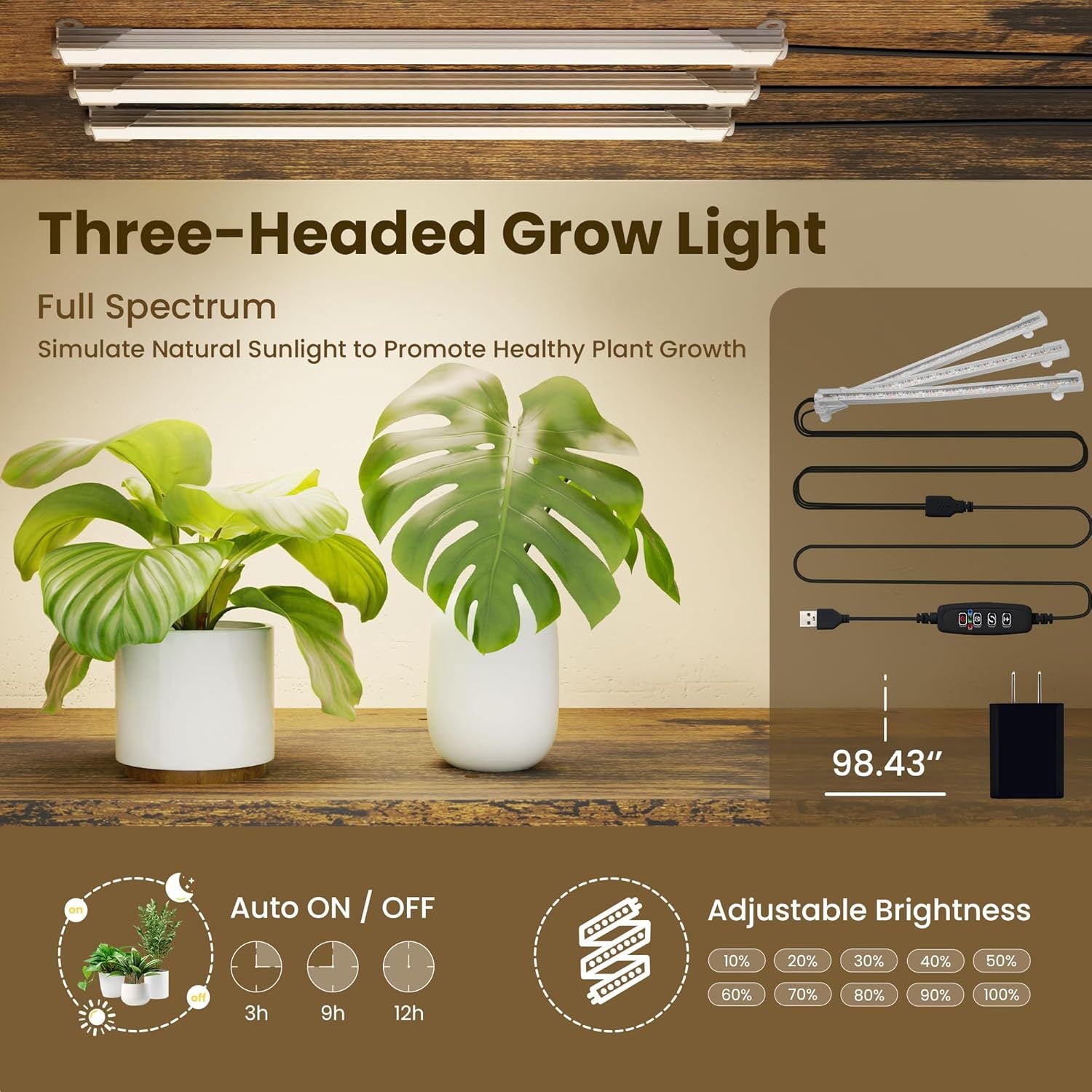 description_selected4