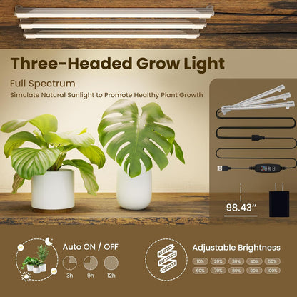 description_selected4